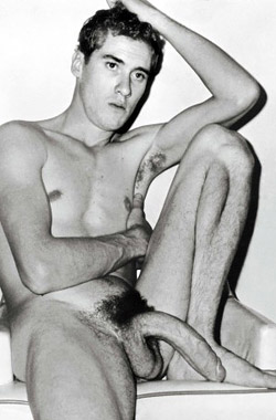 The King of Cocks